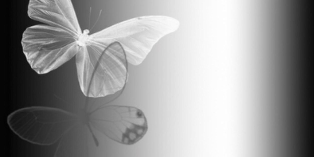 DidiHFdez's profile banner image