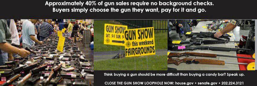 Campaign to Close the Gun Show Loophole banner