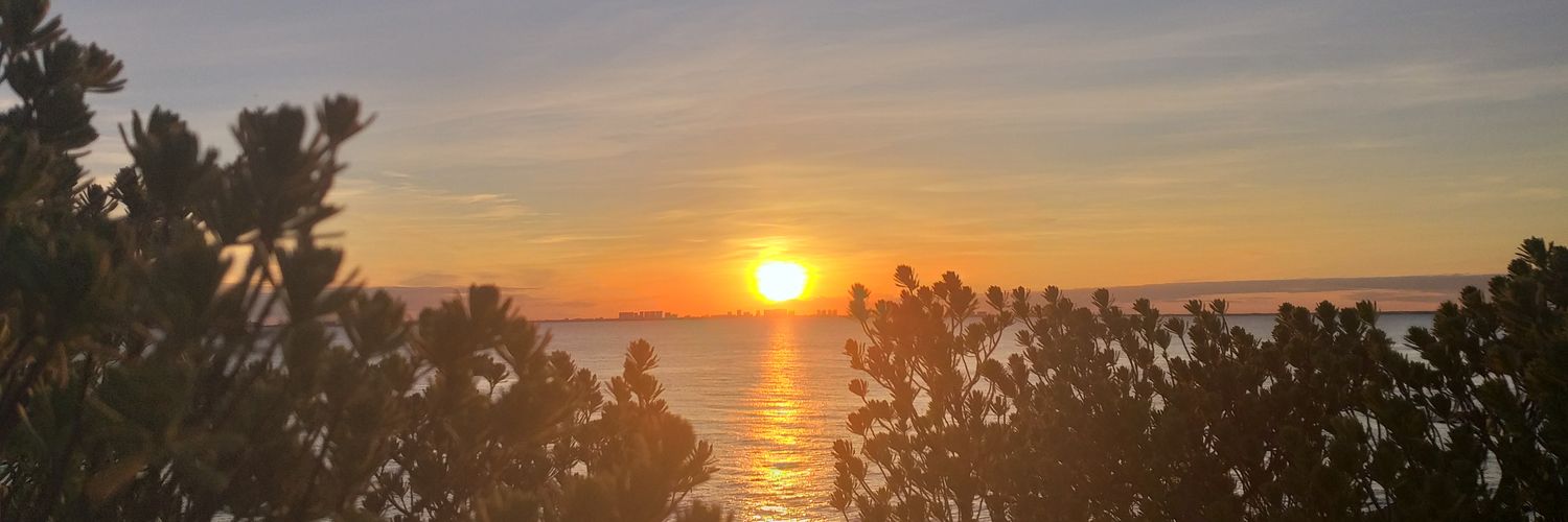 cecyp3's profile banner image