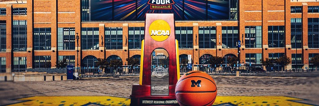 The Grand Prince Dom 👑 banner