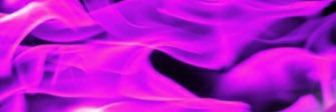 moniiva banner