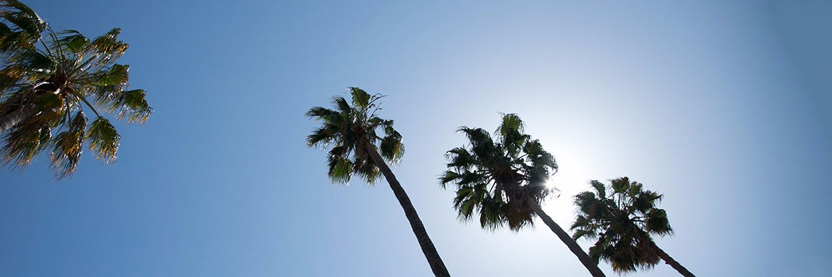 MarieP_82's profile banner image