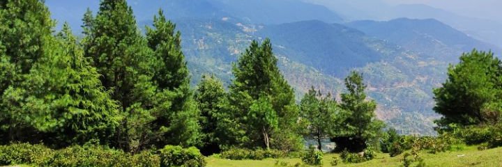 InghMit's profile banner image