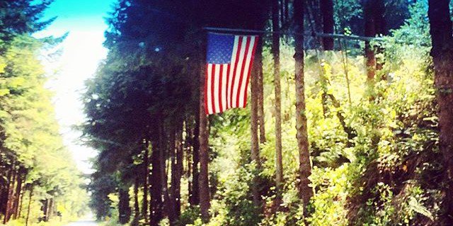 indacoconut's profile banner image