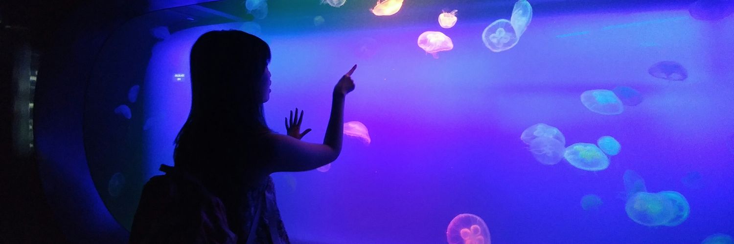 wileen's profile banner image