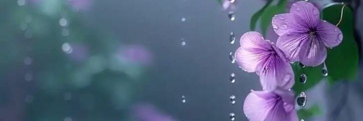 ramaz67's profile banner image