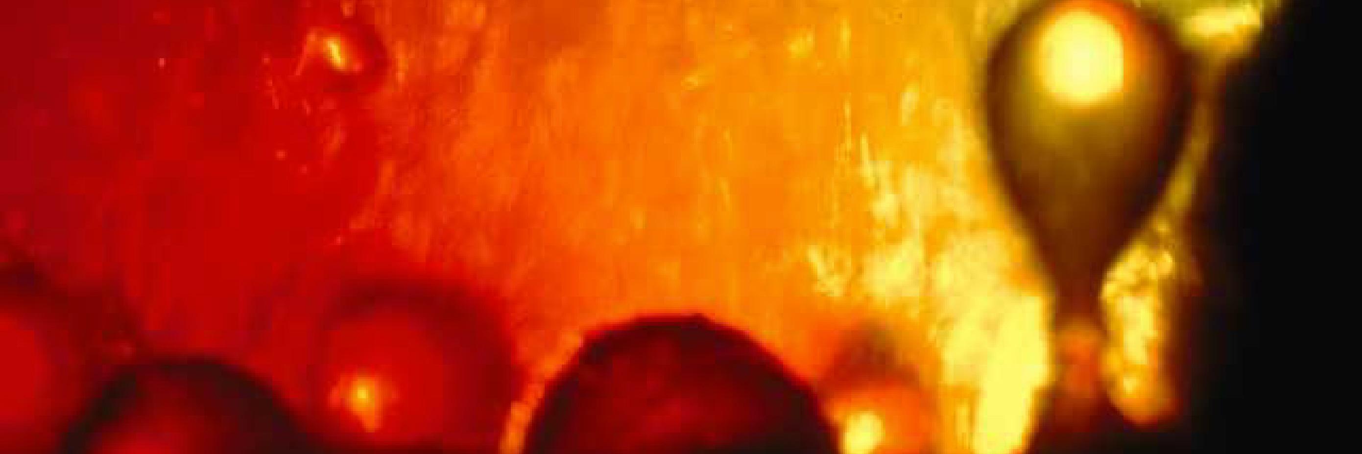 SunStormTan's profile banner image