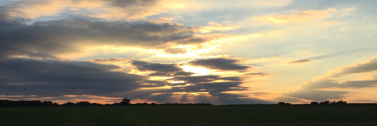 tylerrubarts's profile banner image