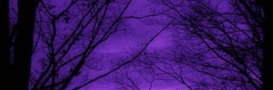 xGHOSTGURLx's profile banner image