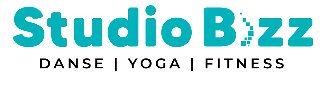 StudioBizz's profile banner image