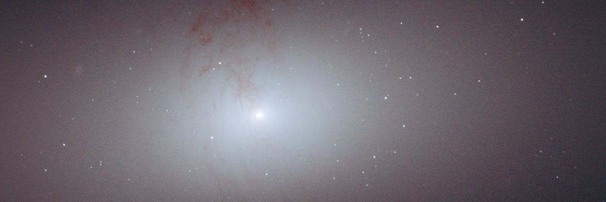 Vee / 위 / ヴィー/วี/Wee banner