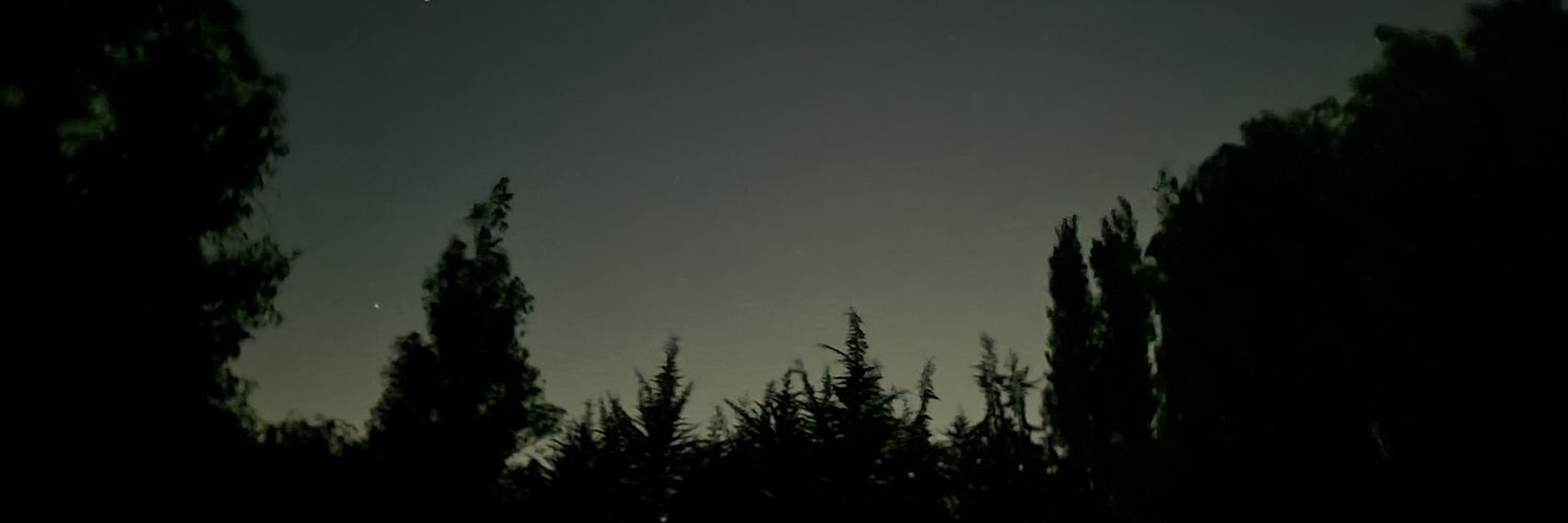 𝙍𝙄𝘾𝙎𝙐𝙎 banner