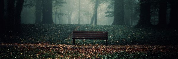 Mahadmohammad3 Profile Banner