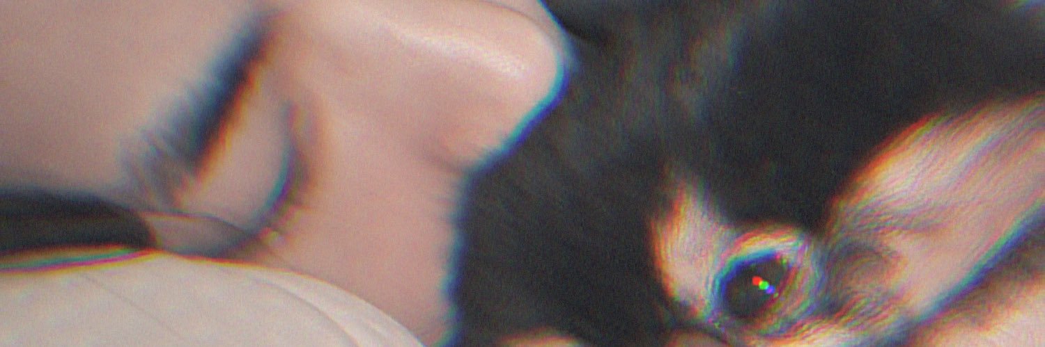 STS_twt_'s profile banner image