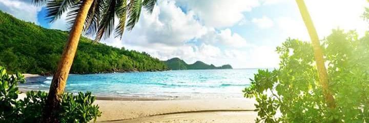emycool_555's profile banner image