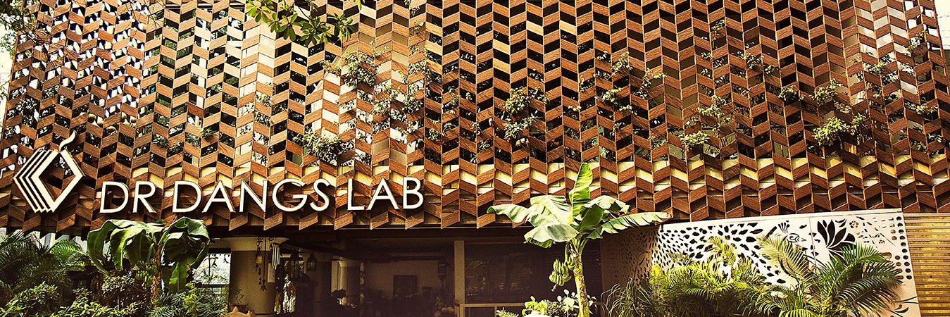 Dr Dangs Lab banner