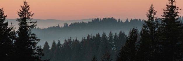 Juliann_Orr's profile banner image