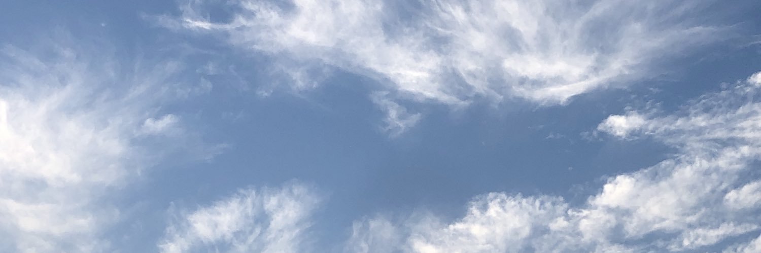 bestecinarr's profile banner image