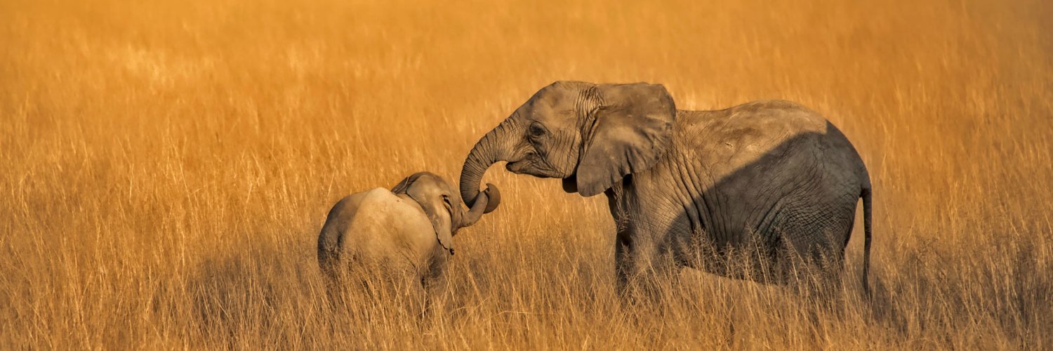 Charles Griffiths banner