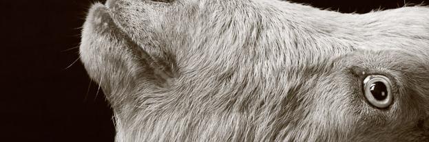 deinemudder9's profile banner image