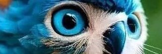 Ownblueeyes's profile banner image