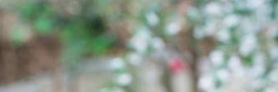 _SKY banner