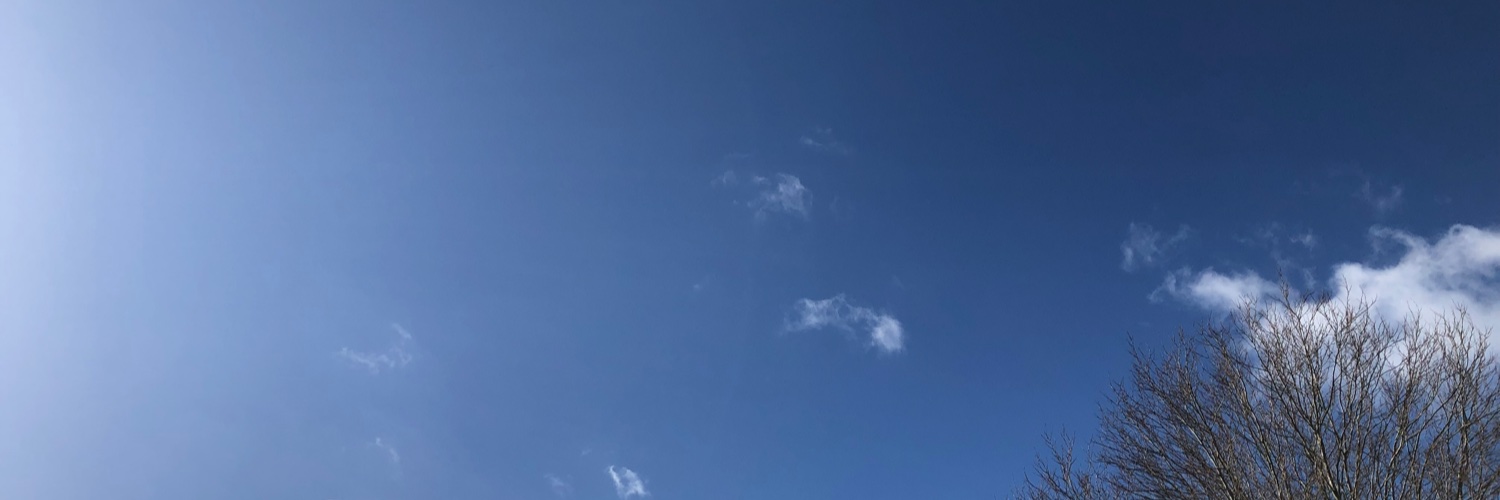 James Coleman banner