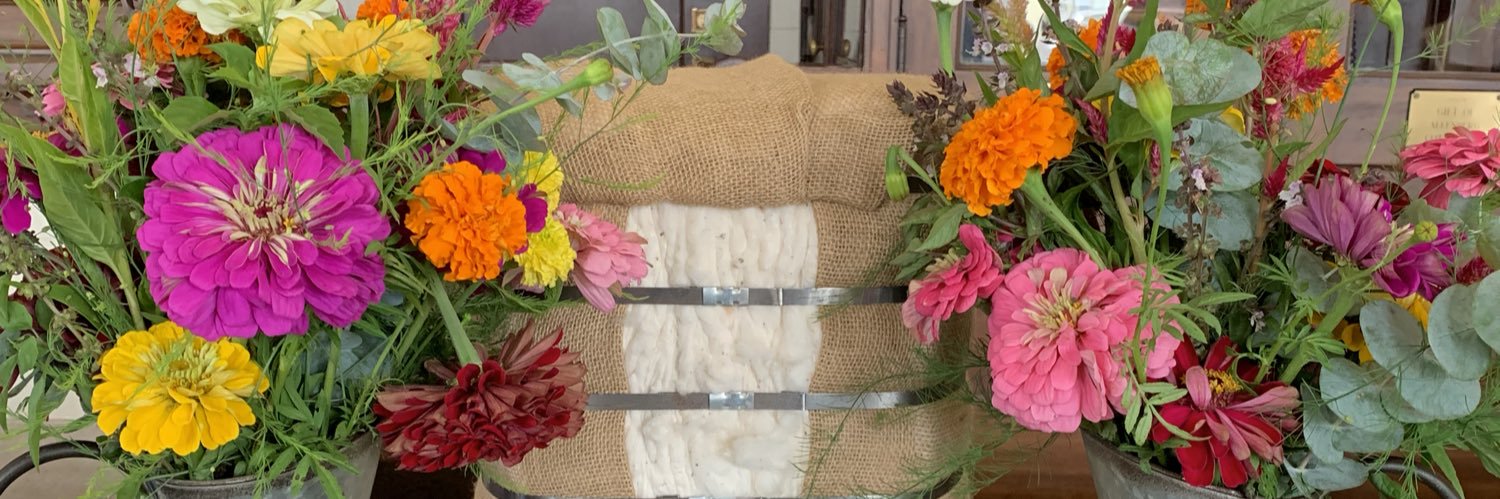 Tracey Sullivan banner