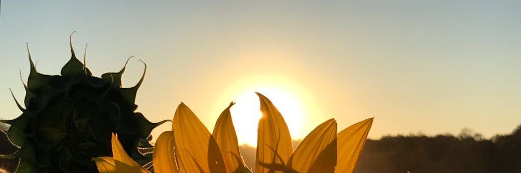 ktheilmann17's profile banner image