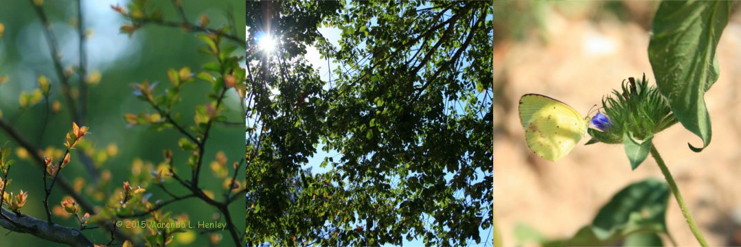 Organic_9's profile banner image