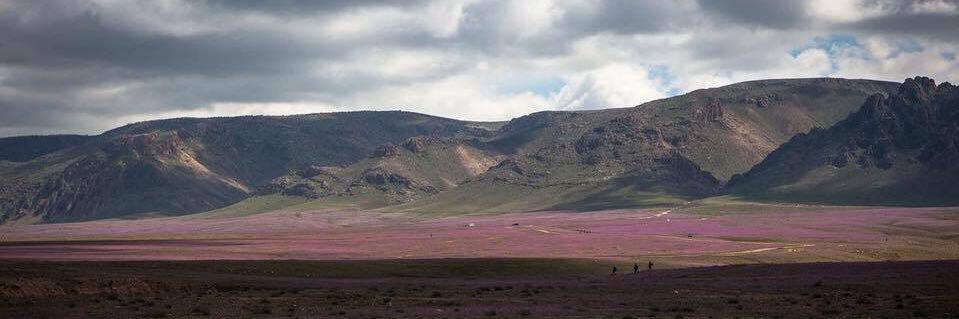 Khalaf Yazidi banner