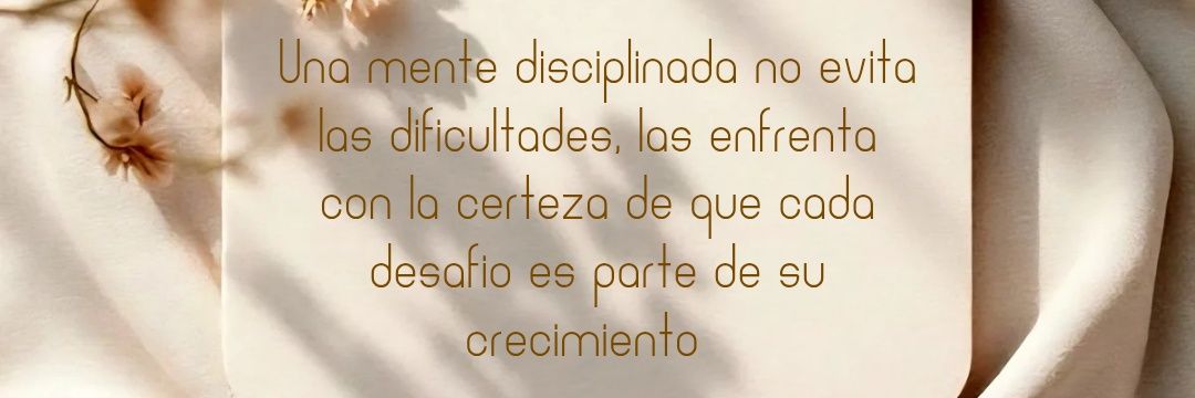 InedeBigault's profile banner image
