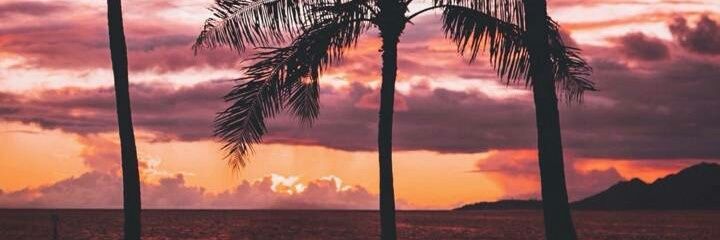 pau___22's profile banner image