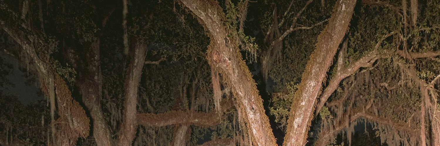 zun_tomas's profile banner image