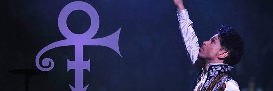 CocoaChanel7 banner