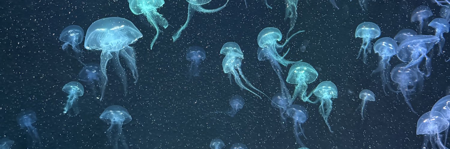 ฝนตกปรอยๆ banner