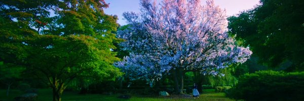 phiramni Profile Banner