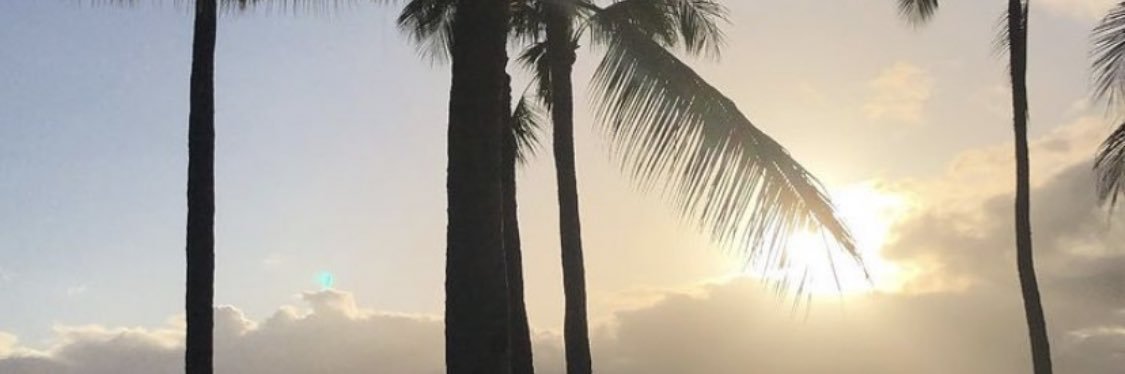 majy2x's profile banner image