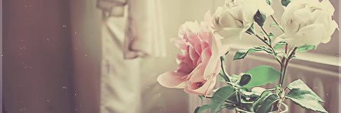 Alajwediah's profile banner image
