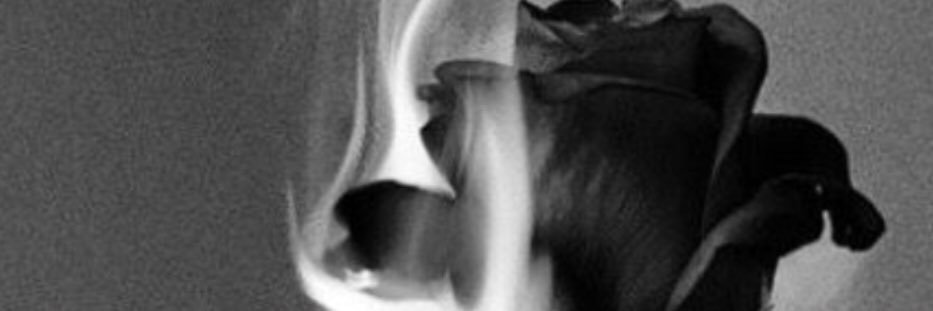 Prinnÿ | Prinny Spoke banner