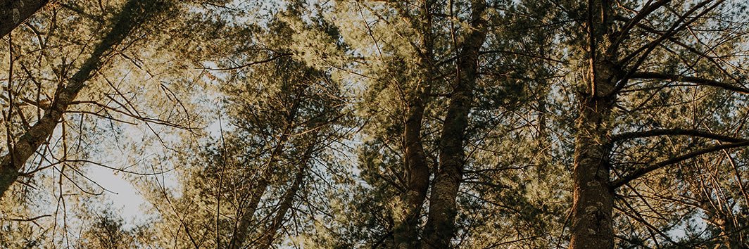 bamjo29's profile banner image