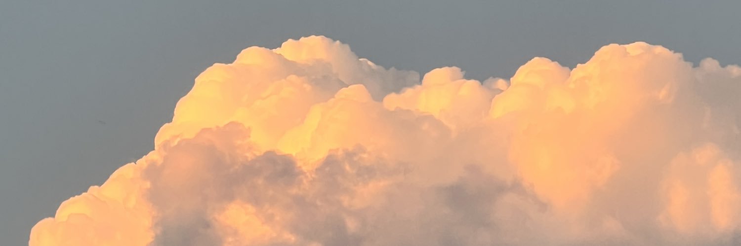 timm_rn's profile banner image