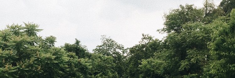 teeteekeyzick's profile banner image