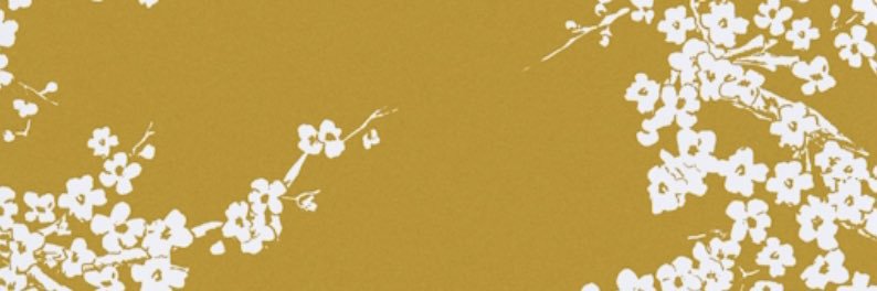 EssCastro's profile banner image