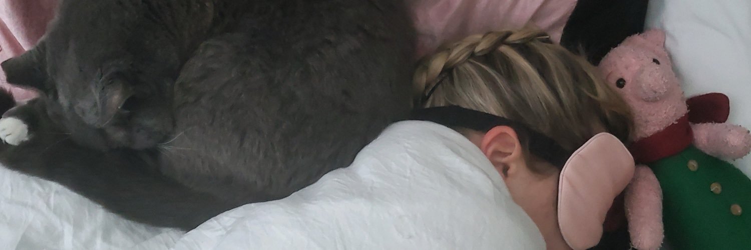 flandreeee's profile banner image