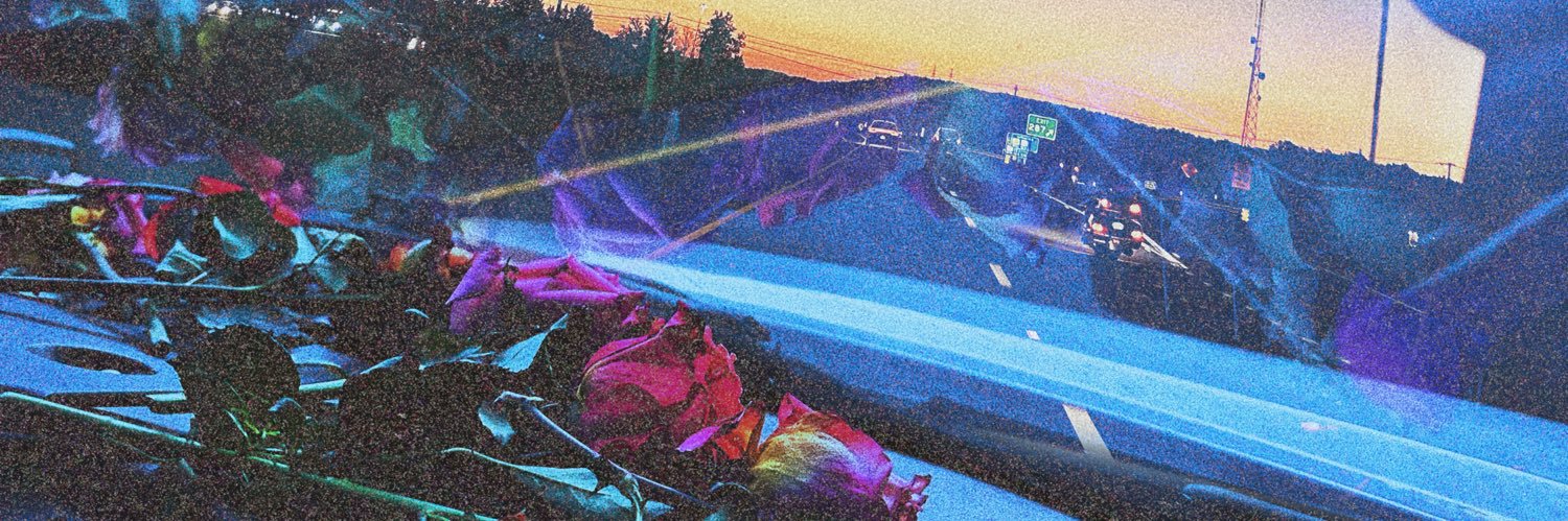 lzbthnicole's profile banner image
