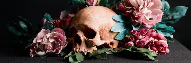 ✠ ☠ Marienkäfer ✠ ☠ banner