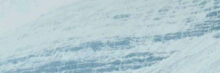 blacknosha's profile banner image