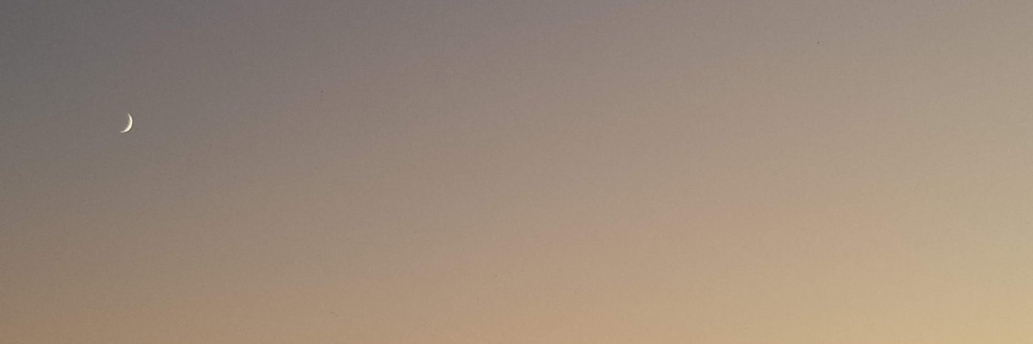 hini_sara's profile banner image