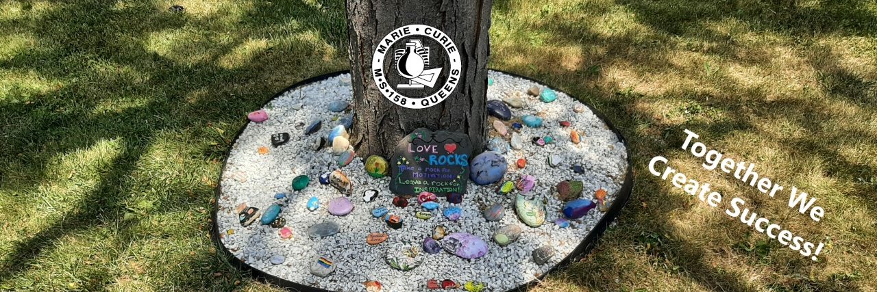 Marie Curie Middle School banner